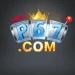 P67 Game