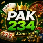PAK234 Game